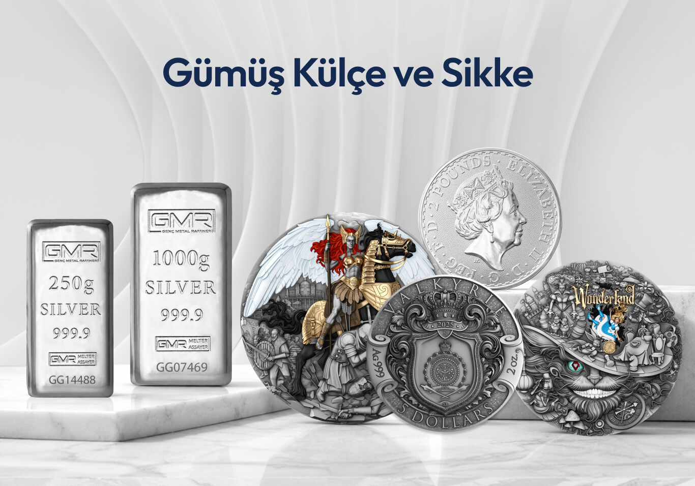Altın & G&uuml;m&uuml;ş Sikke