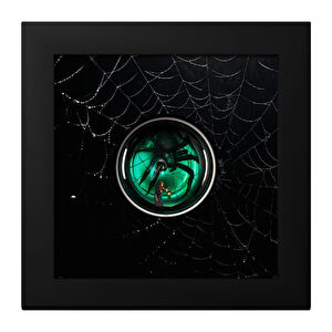  AgaKulche Arachnophobia Silver Coin
