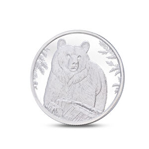 AgaKulche Bear Silver Coin