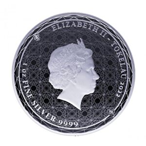 AgaKulche Equilibrium 2022 Gümüş Sikke Coin