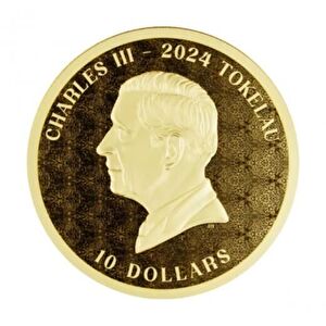 AgaKulche Equilibrium 2024 Gold Coin