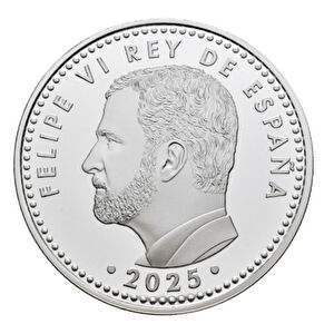 AgaKulche FIFA D&uuml;nya Kupası İspanya G&uuml;m&uuml;ş Sikke Coin