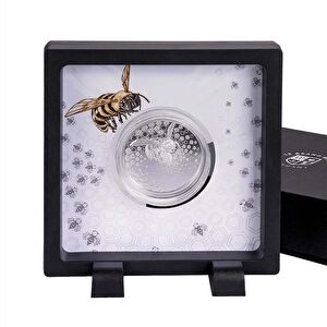 AgaKulche Gray Bee Silver Coin