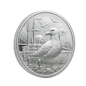 AgaKulche İstanbul Martısı G&uuml;m&uuml;ş Sikke Coin
