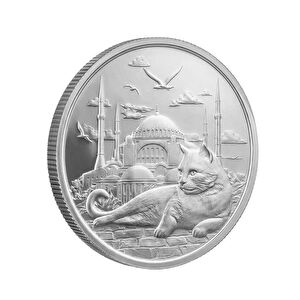 AgaKulche İstanbul Kedisi G&uuml;m&uuml;ş Sikke Coin