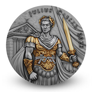 AgaKulche Julius Caesar Gold Plated NGC Certified Silver Coin