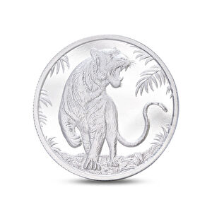 AgaKulche Kaplan Fig&uuml;rl&uuml; G&uuml;m&uuml;ş Sikke Coin