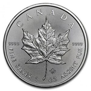 AgaKulche Maple Leaf 2020 Gümüş Sikke Coin