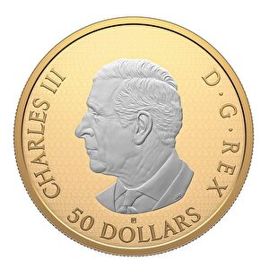 AgaKulche Maple Leaves in Motion 2025 Gold Plated Silver Coin