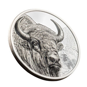AgaKulche Mongolian Bison Silver Coin