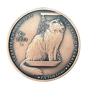 AgaKulche Nasreddin Hoca Bronz Sikke Coin