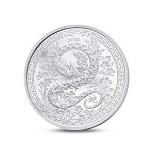 AgaKulche Snake Figure Silver Coin