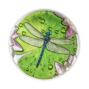 AgaKulche Lily Pad Dragonfly 2024 1 Ons Gümüş Sikke Coin