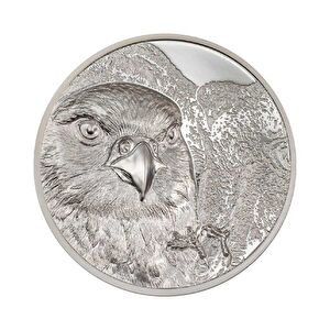 AgaKulche Mongolian Falcon 2023 1 Ons Gümüş Sikke Coin