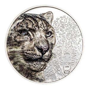 AgaKulche Snow Leopard 2024 1 Ons Gümüş Sikke Coin