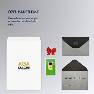 AgaKulche Valcambi 10 gr Green Bar 999.9 24 Ayar Külçe Altın