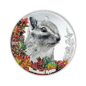 AgaKulche Woodland Spirits Chipmunk 2023 1 Ons Gümüş Sikke Coin