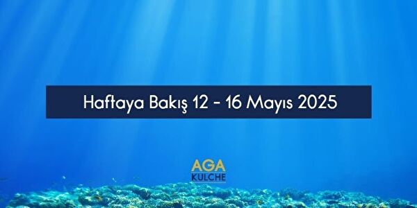 blog adı