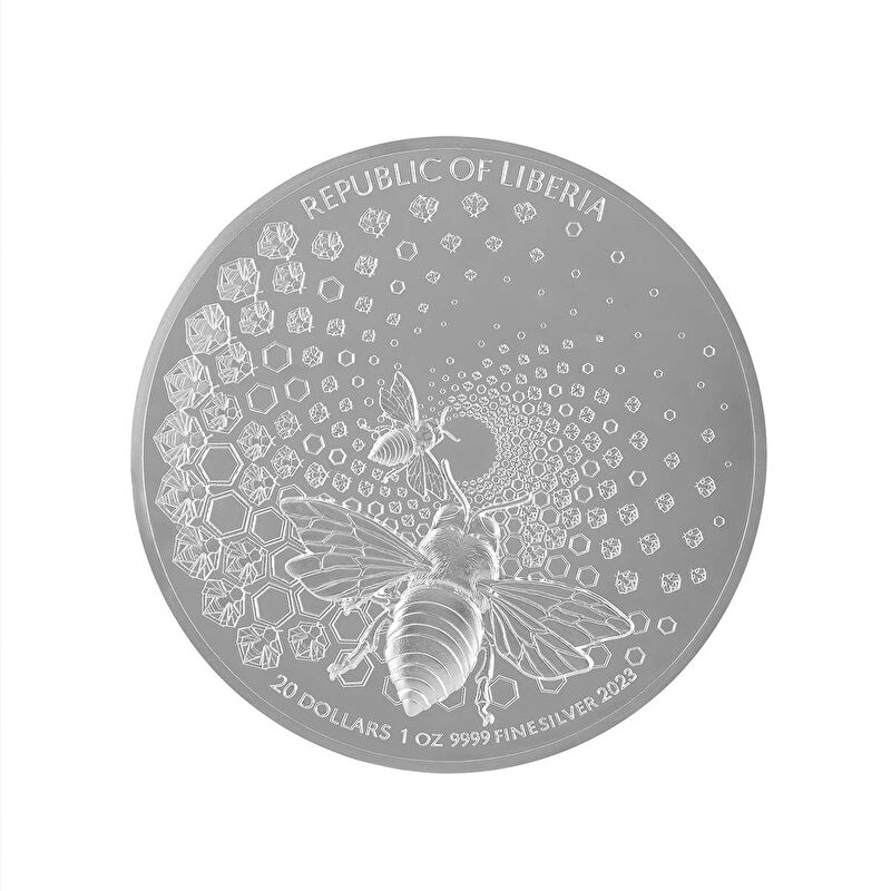 AgaKulche Gray Bee Silver Coin