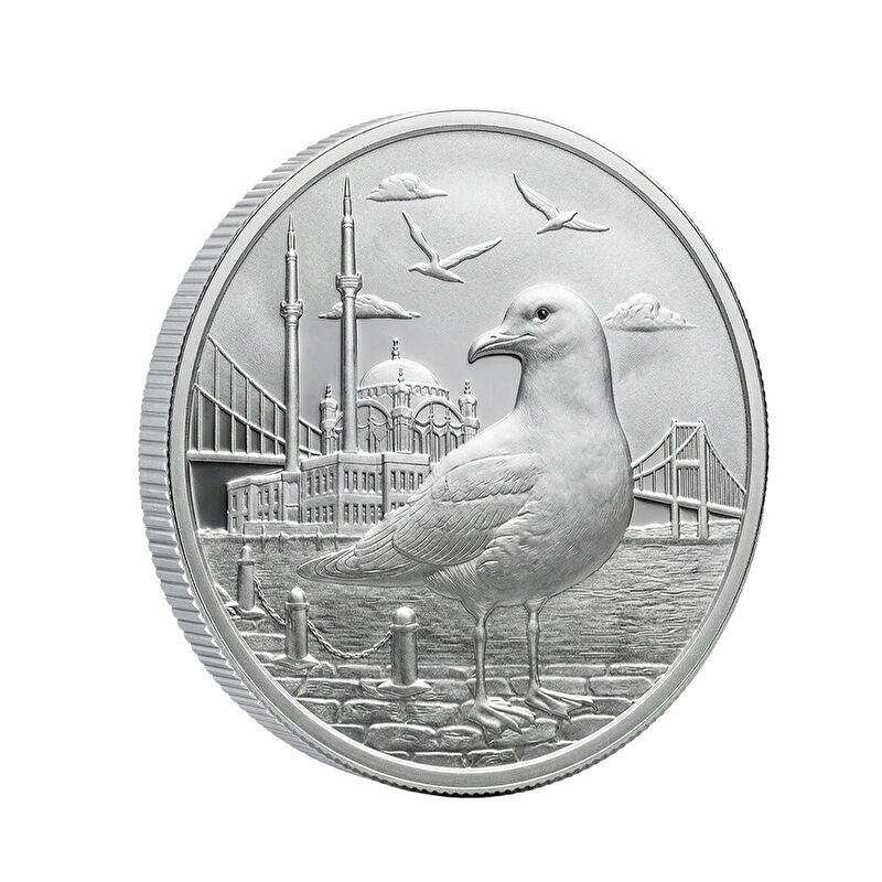 AgaKulche İstanbul Martısı G&uuml;m&uuml;ş Sikke Coin