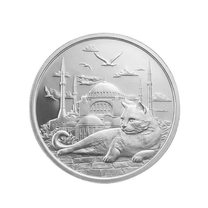 AgaKulche İstanbul Kedisi Gümüş Sikke Coin